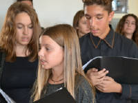 Click for larger image.