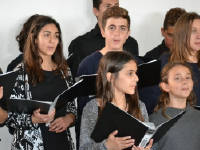 Click for larger image.