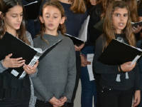 Click for larger image.