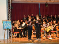 Click for larger image.