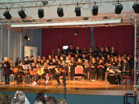 Click for larger image.