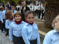 Click for larger image.