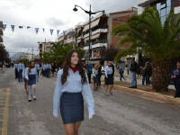 Click for larger image.