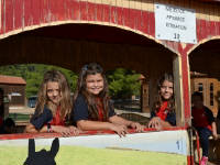 Click for larger image.