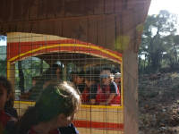 Click for larger image.