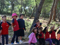 Click for larger image.