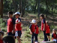 Click for larger image.