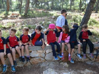 Click for larger image.