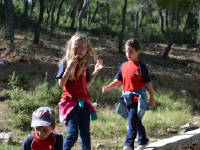 Click for larger image.