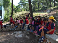 Click for larger image.