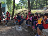 Click for larger image.