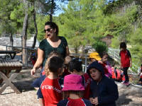 Click for larger image.