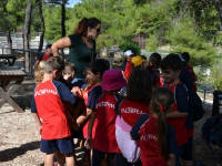 Click for larger image.