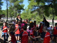 Click for larger image.