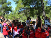 Click for larger image.