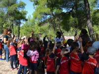 Click for larger image.