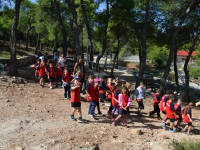 Click for larger image.