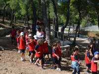 Click for larger image.