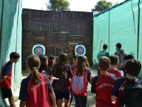 Click for larger image.