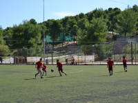 Click for larger image.