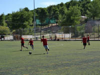 Click for larger image.