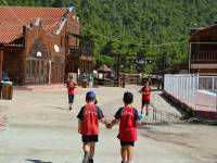 Click for larger image.