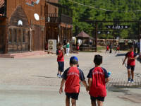 Click for larger image.