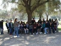 Click for larger image.