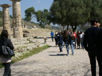 Click for larger image.