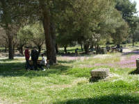 Click for larger image.