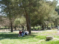 Click for larger image.