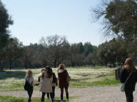 Click for larger image.