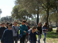 Click for larger image.