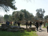 Click for larger image.