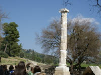 Click for larger image.