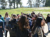 Click for larger image.