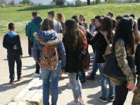 Click for larger image.