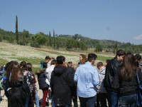 Click for larger image.