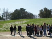 Click for larger image.