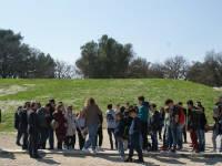 Click for larger image.