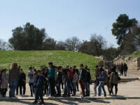 Click for larger image.