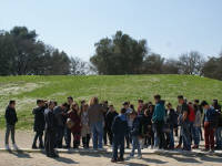 Click for larger image.