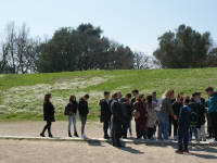 Click for larger image.