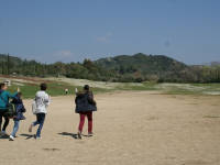 Click for larger image.