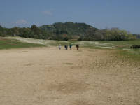 Click for larger image.