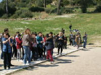 Click for larger image.