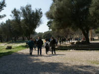 Click for larger image.