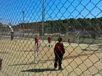 Click for larger image.