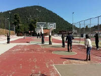 Click for larger image.