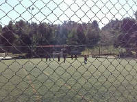 Click for larger image.